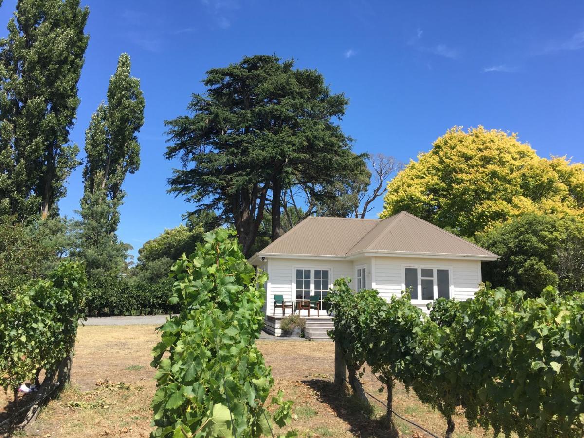 Tuki Vineyard Cottage Havelock North Εξωτερικό φωτογραφία